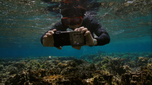 [Photo News] Coral in focus