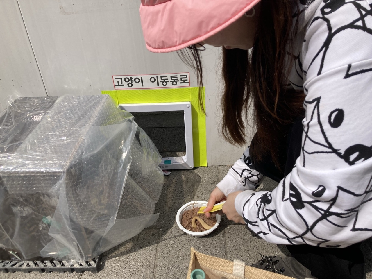 줄리씨가 길고양이 공공급식소에 먹이를 담고 있다. 손인규 기자