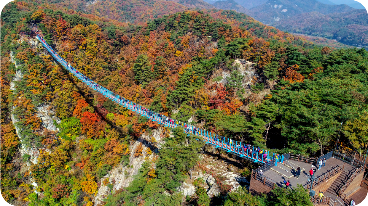 Wonju Sogeumsan Suspension Bridge (Wonju City Office)