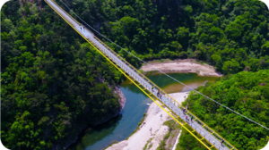Swinging walkways and sweeping views