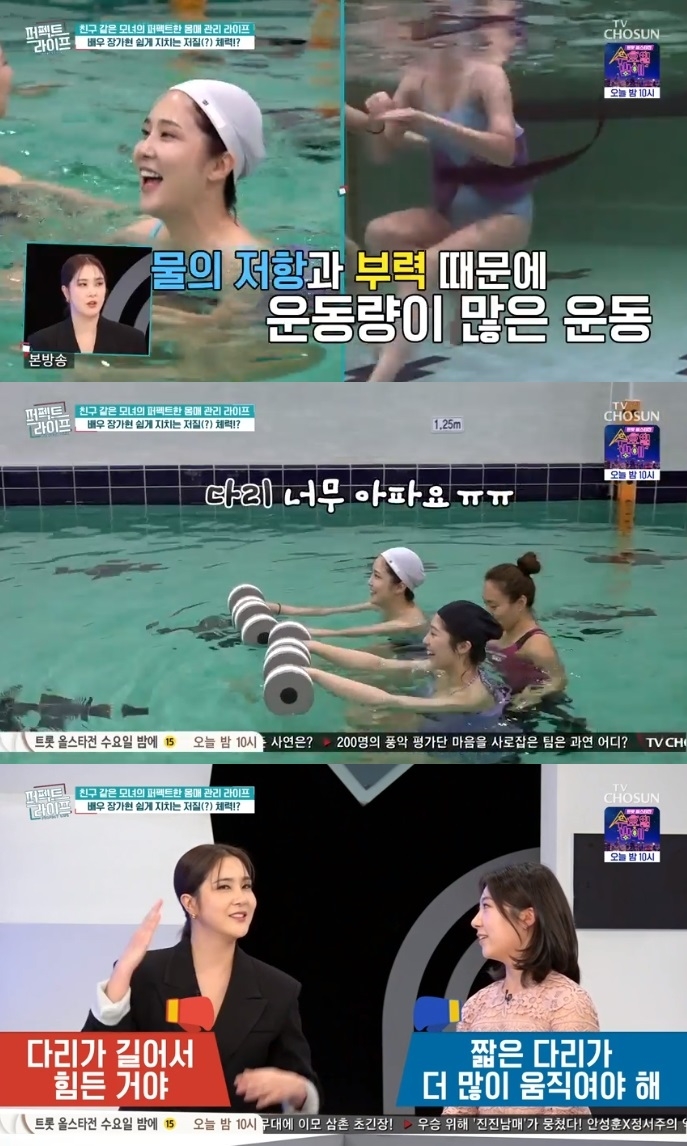 TV조선 ‘퍼펙트 라이프’ 방송캡쳐