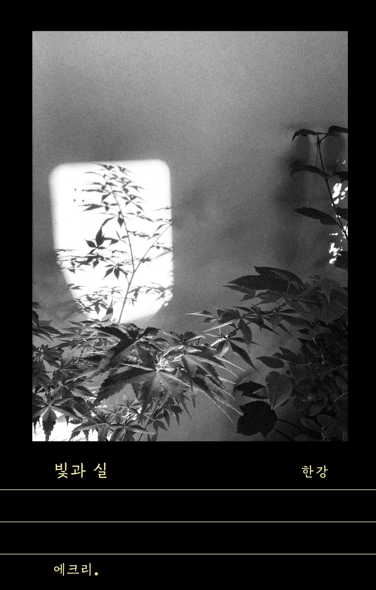 ‘빛과 실’ 표지 이미지. [문학과지성사]