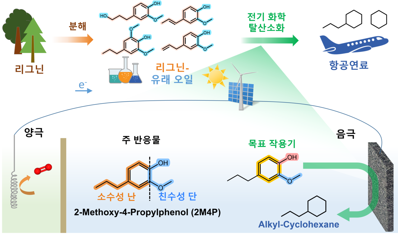 전기화학적 탈산소화(EHDO)를 통한 리그닌 유래 오일의 업그레이드 모식도.[KIST 제공]