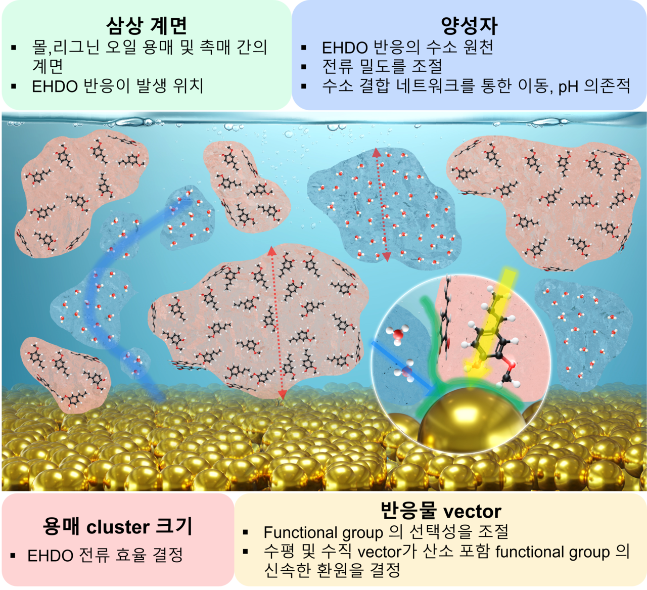 전해 시스템에서 각 물질의 배열 방식 모식도및 분자 동력학과 관련된 결정 요인.[KIST 제공]