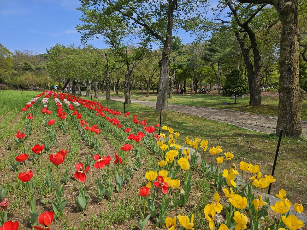 Theme Garden located near the MMCA Gwacheon (Park Yuna/The Korea Herald)