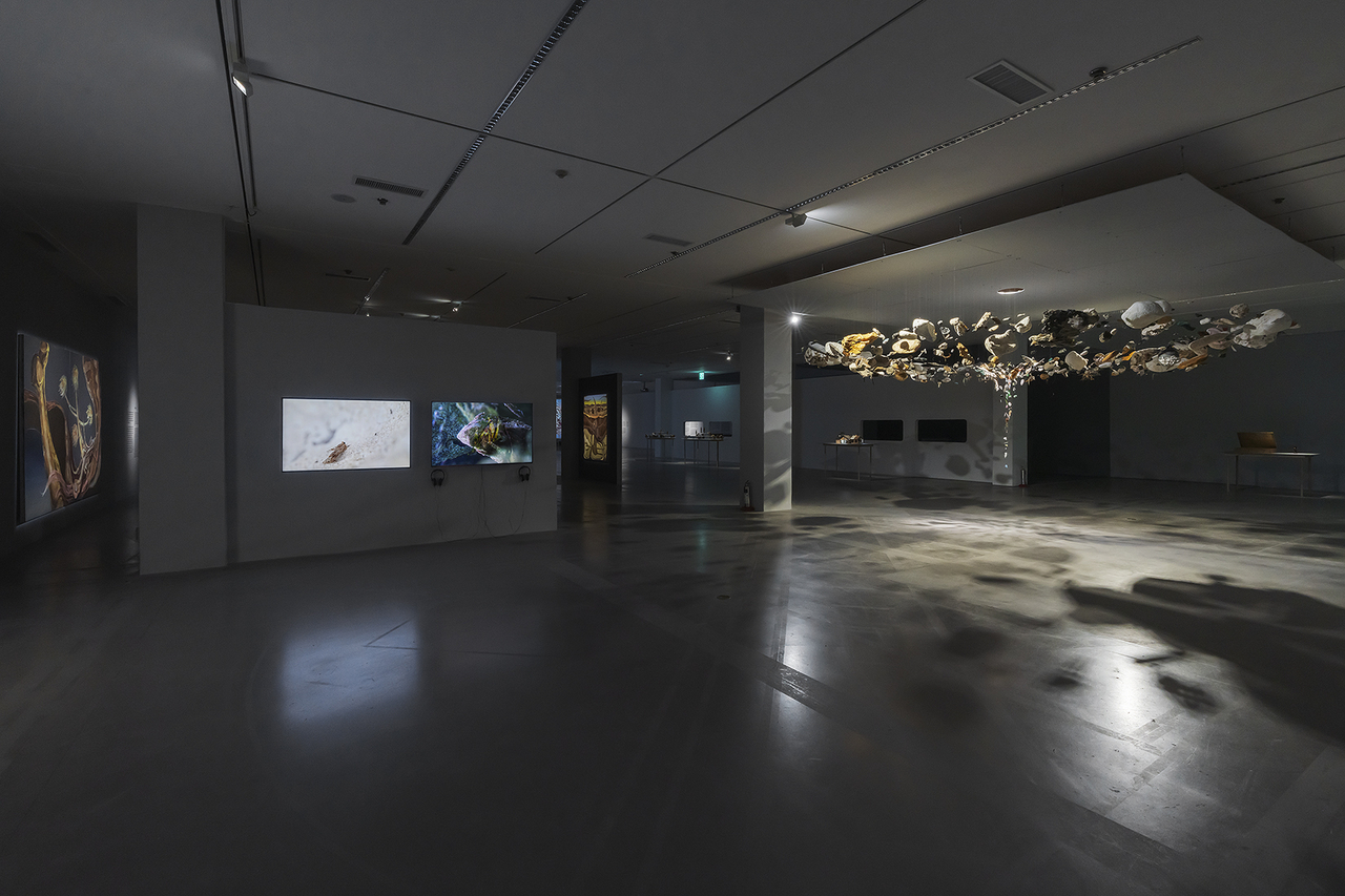 Installation view of "Young Korean Artists 2025" at MMCA Gwacheon (MMCA)