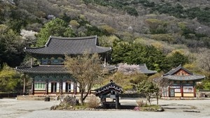 정용식의 사찰 기행