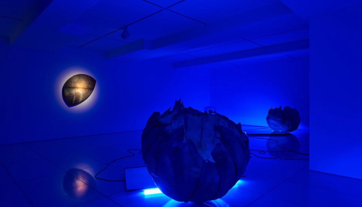 Installation view of "Metissage" at Arario Gallery (Courtesy of the gallery)