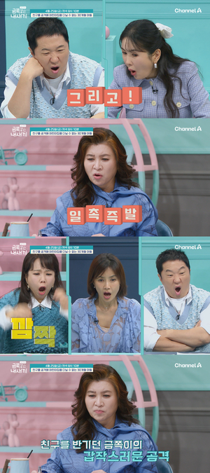 투데이TV