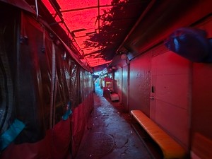 세상&