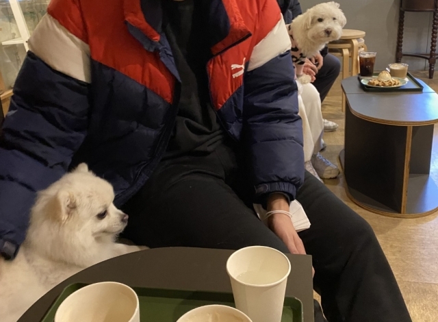 [독자 제공]
