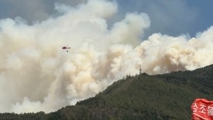 인제 산불 진화율 93%…헬기 철수, 야간 진화 체제 돌입