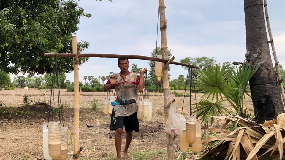 Chhat Chhoeum gathers pure palm sugar liquid from his farm, climbing around 30 trees on most days.   (Phnom Penh Post)