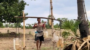 Sweet tradition: Cambodian farmer’s dedication to pure palm sugar