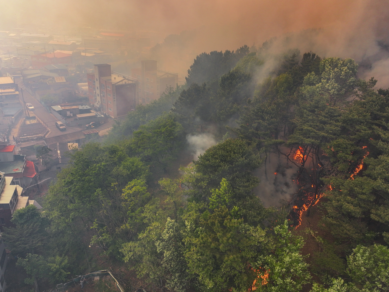 A wildfire on Mount Hamji in Daegu, some 230 kilometers southeast of Seoul, spreads toward nearby villages on Monday. (Yonhap)