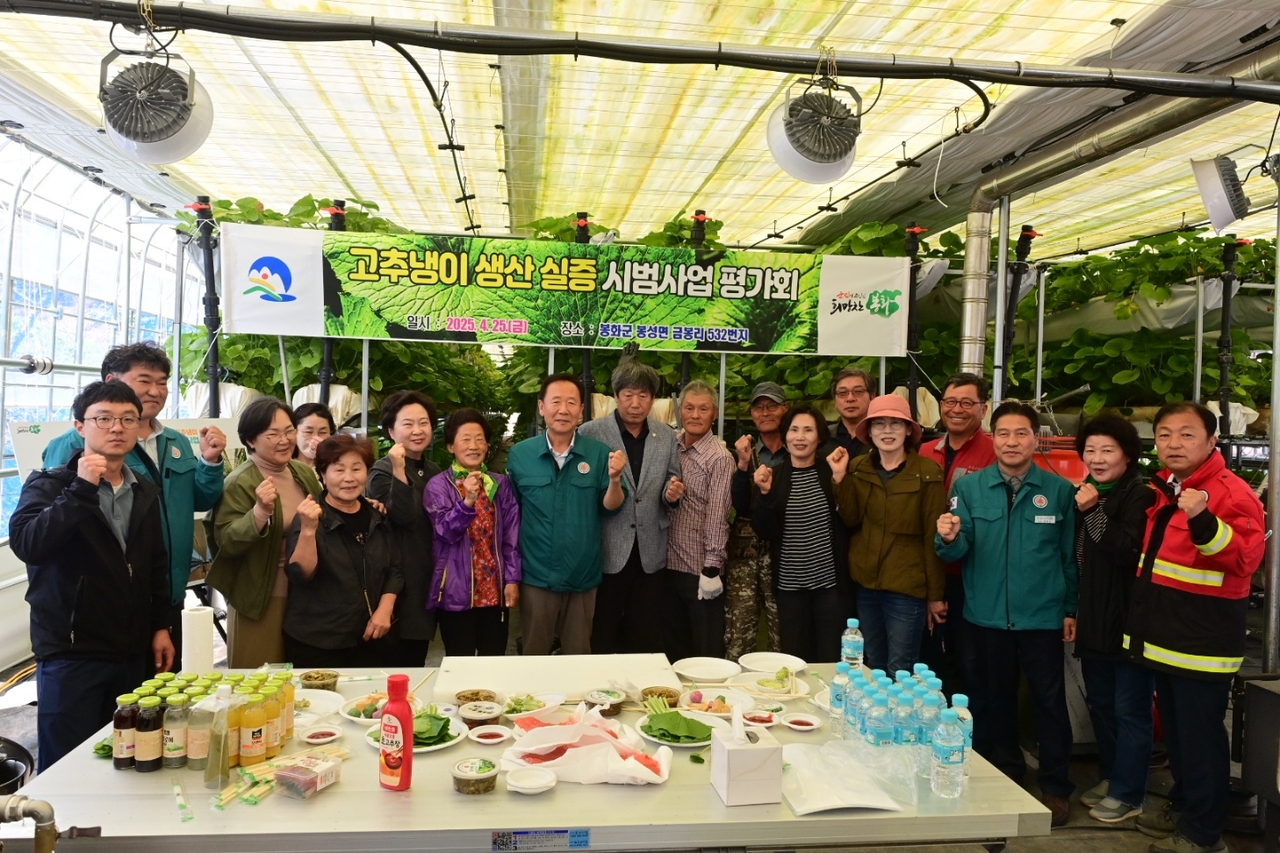 봉화군이 고추냉이 생산 실증 시범사업 평가회를 개최했다. [봉화군 제공]