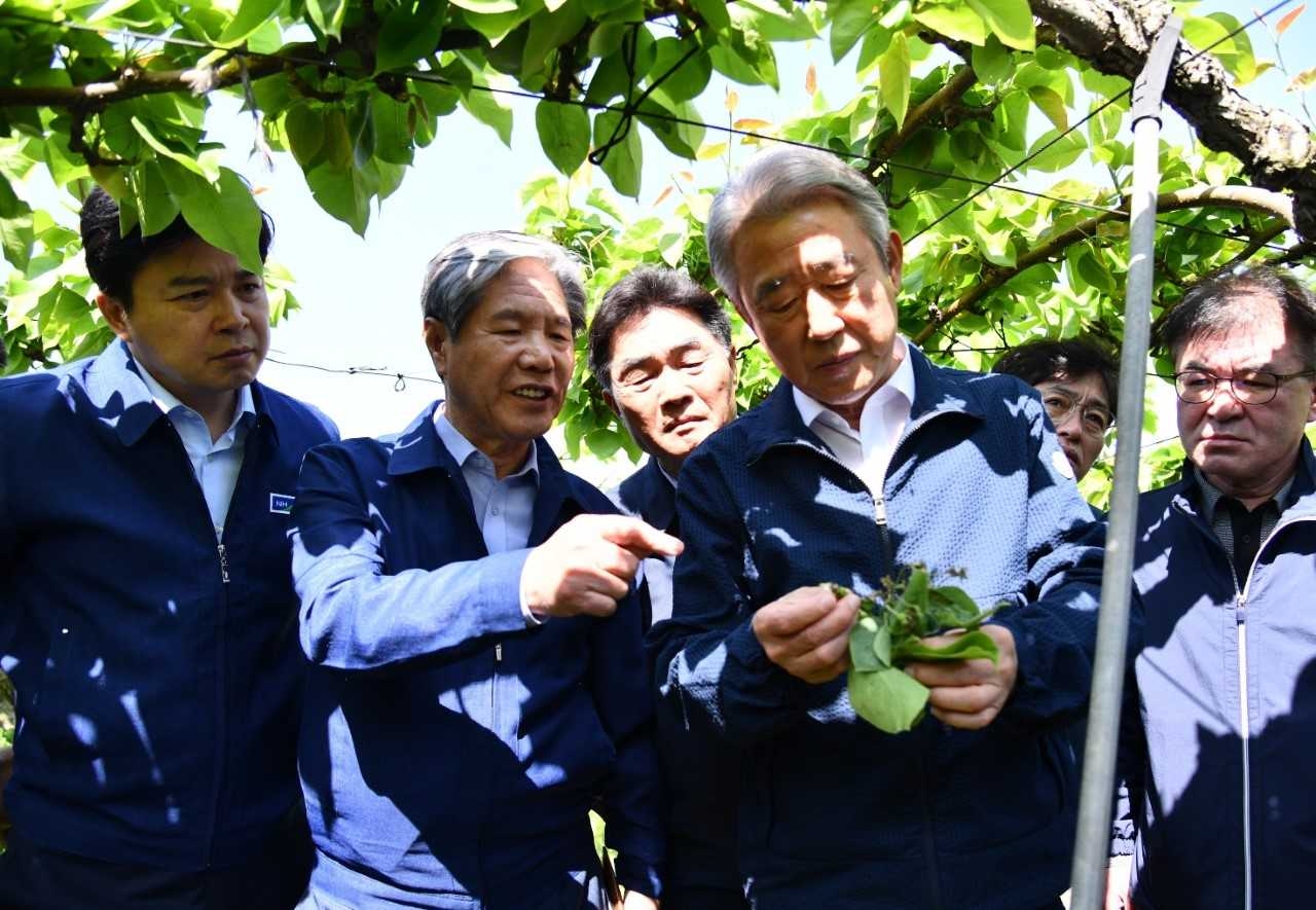 강호동 농협중앙회장(앞줄 왼쪽 세번째) 이 30일 경북 상주를 찾아 개화기 이상저온으로 냉해 피해를 입은 배 재배농가를 방문해 피해상황을 점검하고 있다 [경북농협본부 제공]