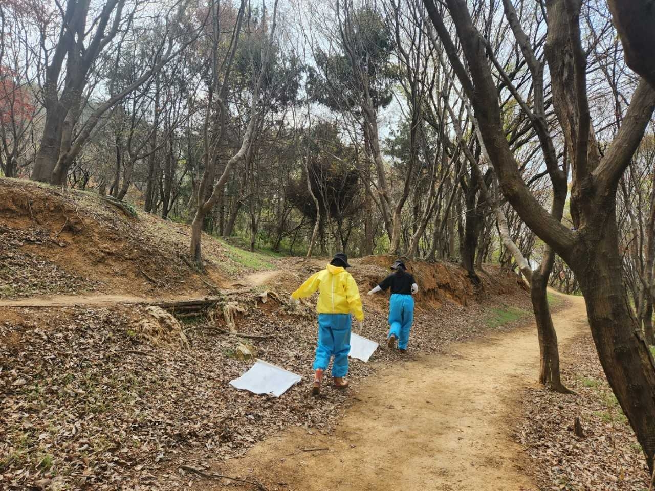 보건환경연구원은 지난 7일부터 18일까지 시민들이 자주 찾는 광주지역 근린공원, 등산로, 파크골프장 등 총 41개 지점을 대상으로 참진드기 서식 분포를 조사했다.