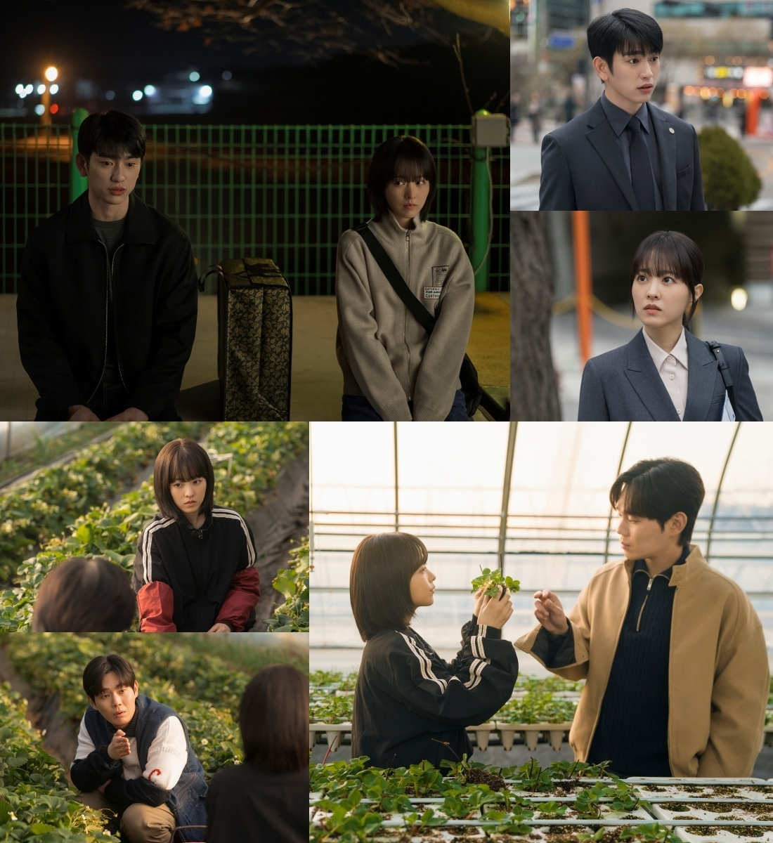 사진 제공=tvN