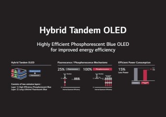 LG Display Becomes World's First to Verify Commercialization of Blue Phosphorescent OLED Panels