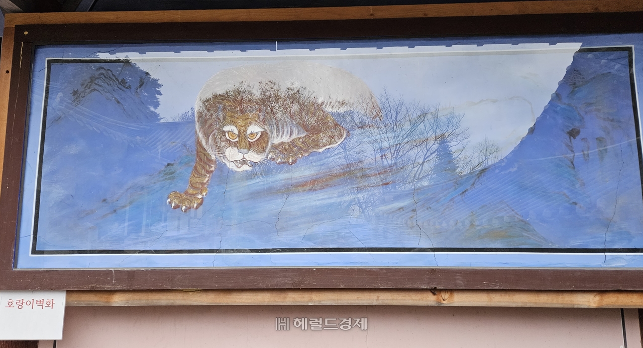 산불 피해를 입기 전인 작년 초 촬영한 우화루 호랑이 벽화