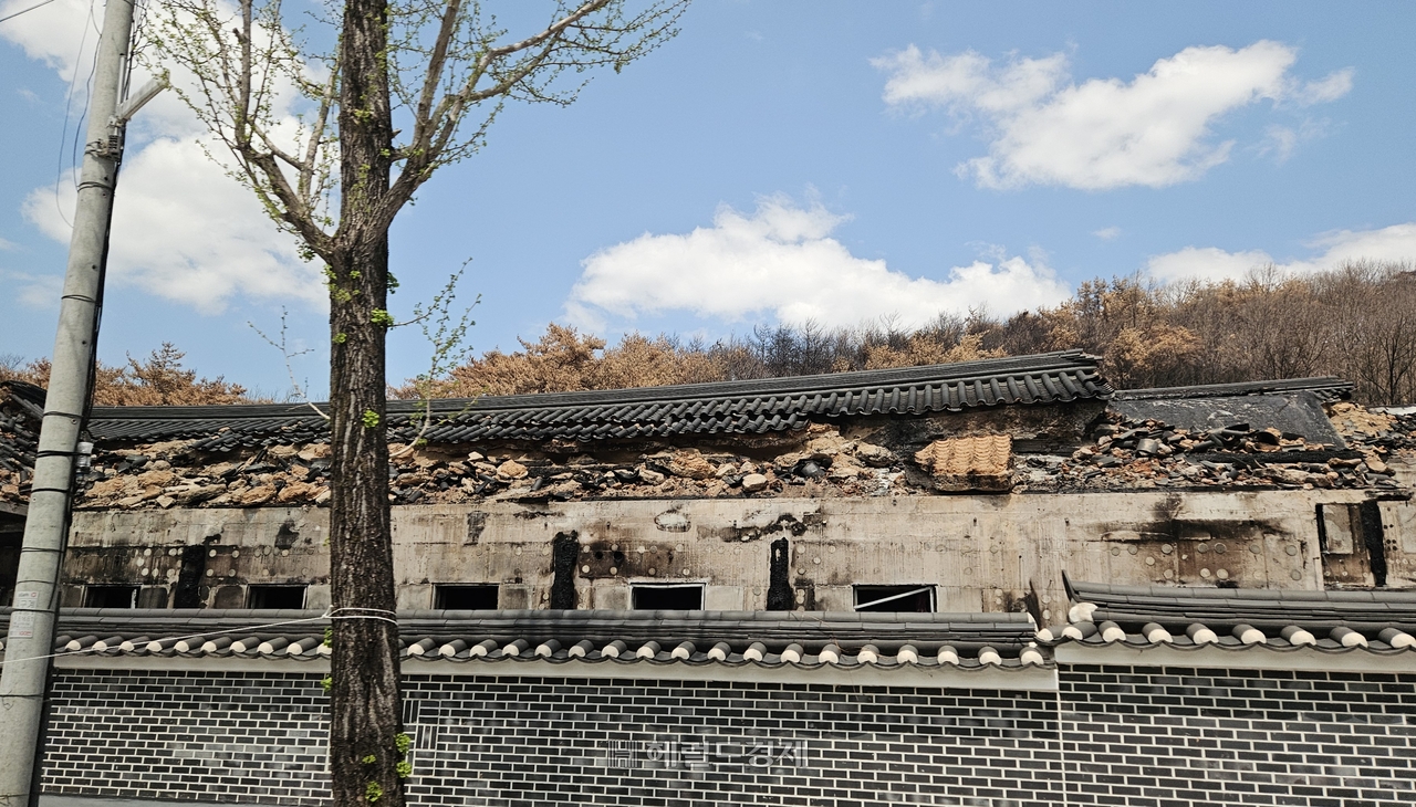 토토사이트 제작 데이터베이스 입구에 세워진 최치원 문학관도 불길에 무너져 내렸다.