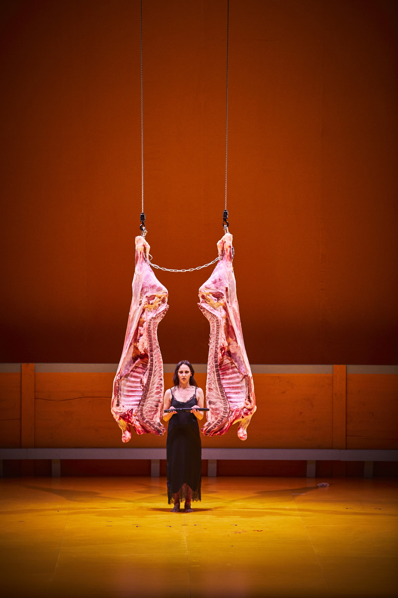 "Liebestod. The smell of blood does not leave my eyes. Juan Belmonte" (Christophe Raynaud de Lage)