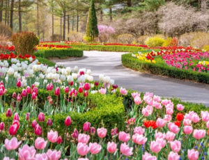 Festivals, sights across Korea
