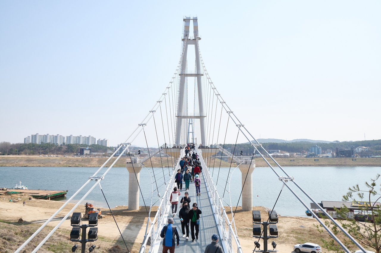 개통된 여주 남한강 출렁다리로 여행객 등 시민들이 이동하고 있다. [경기도]