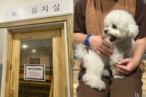 지루할 틈 없는 겨울 실내 놀이 가이드