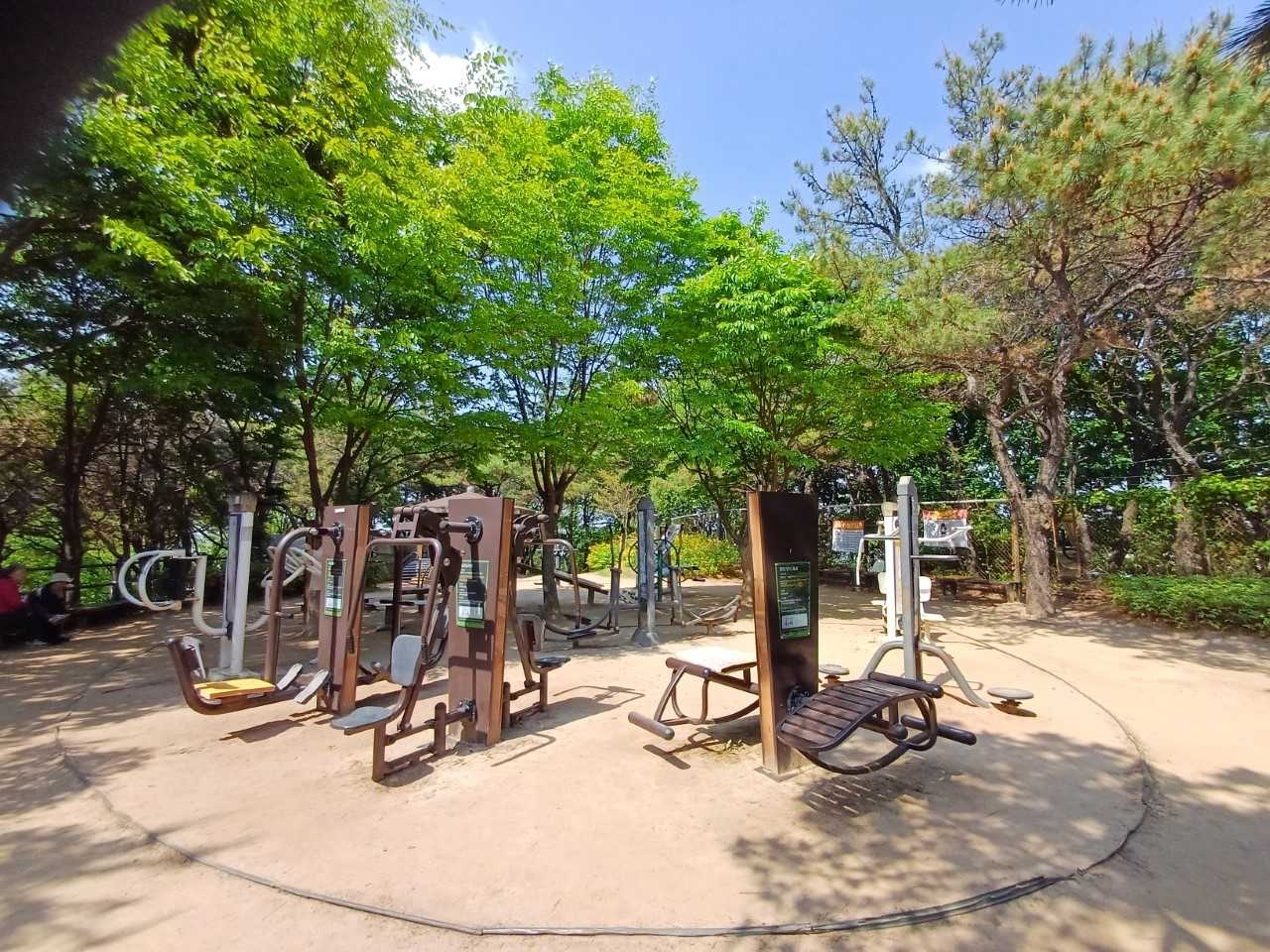 [강서구 제공]