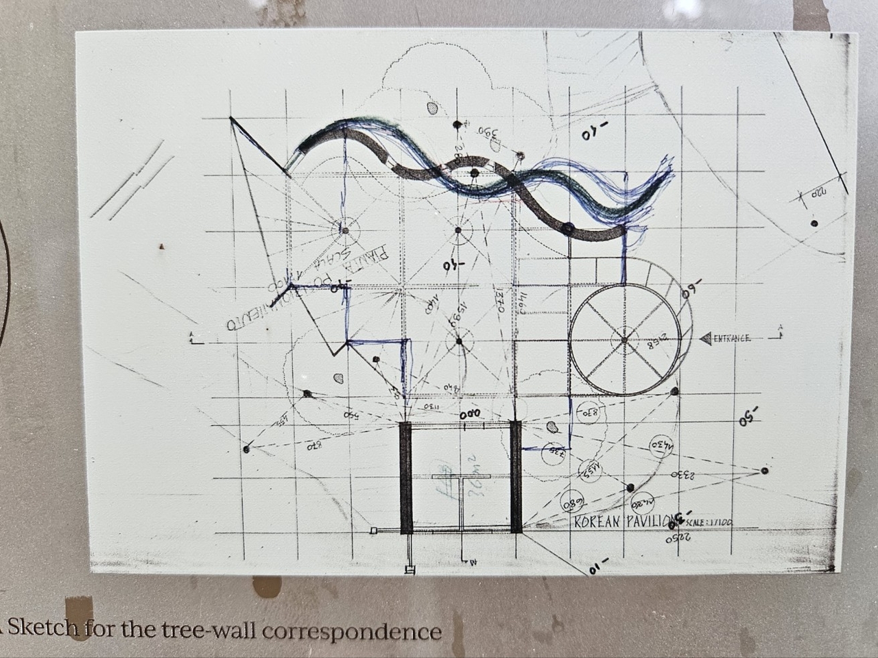 A sketch for the tree-wall correspondence is shown outside the Korean Pavilion as part of “Little Toad, Little Toad: Unbuilding Pavilion." (Park Yuna/The Korea Herald)
