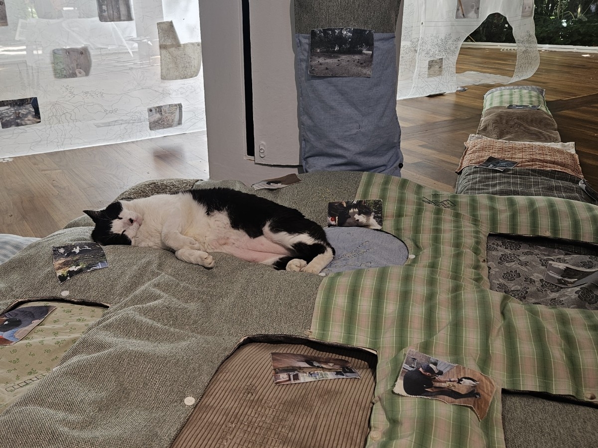 The cat Mucca lies on an embroidered piece titled "Overwriting, Overriding” by Lee Dammy on May 8 in the Korean Pavilion at the Venice Biennale. (Park Yuna/The Korea Herald)