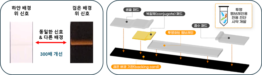 (왼쪽)배경에 따른 신호세기 비교. 동일한 신호에서 단순 배경만 바뀌어도 300배 이상 관측이 잘 되는 것을 알 수 있다. (오른쪽)검은 배경 기반의 신속항원진단 키트 구조. 기존의 신속항원진단 키트의 구조에서 크게 변경하지 않으면서도 검은 배경의 도입으로 배경신호를 제거해 민감도를 획기적으로 높였다.[GIST 제공]