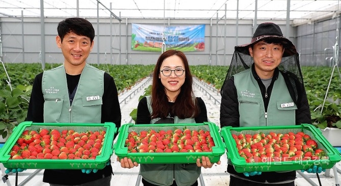 이웃사촌 청년시범마을 조성사업 일환으로 조성한 스마트팜에서 수확한 딸기를 들어보이고 있는 청년들이 환하게 웃고있다.[의성군제공]