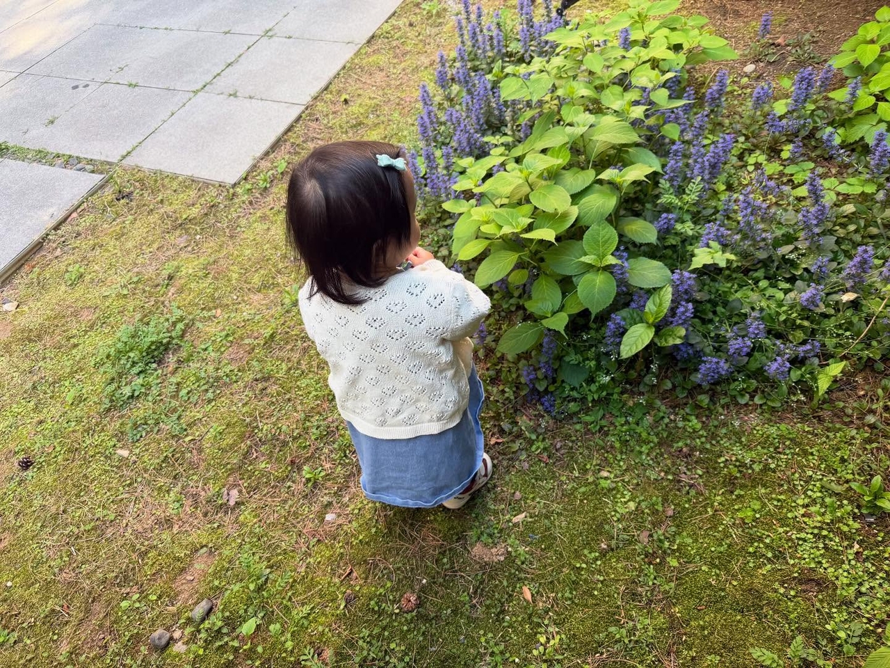이민정 채널