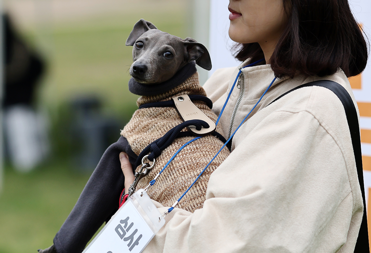 A participant dog is held by its handler after completing the field test for the Seoul Dog Patrol Program (Yonhap)