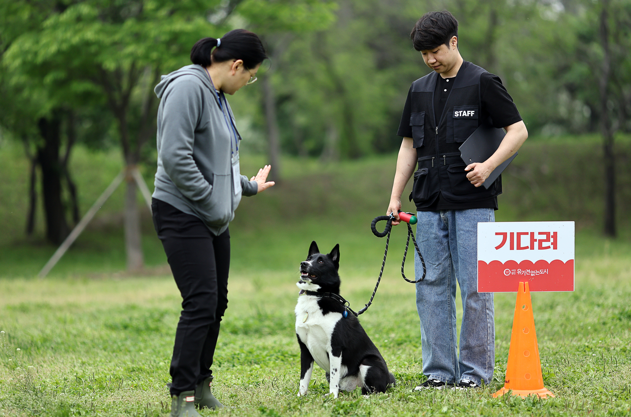 A participant dog performs the “stay” command test (Yonhap)