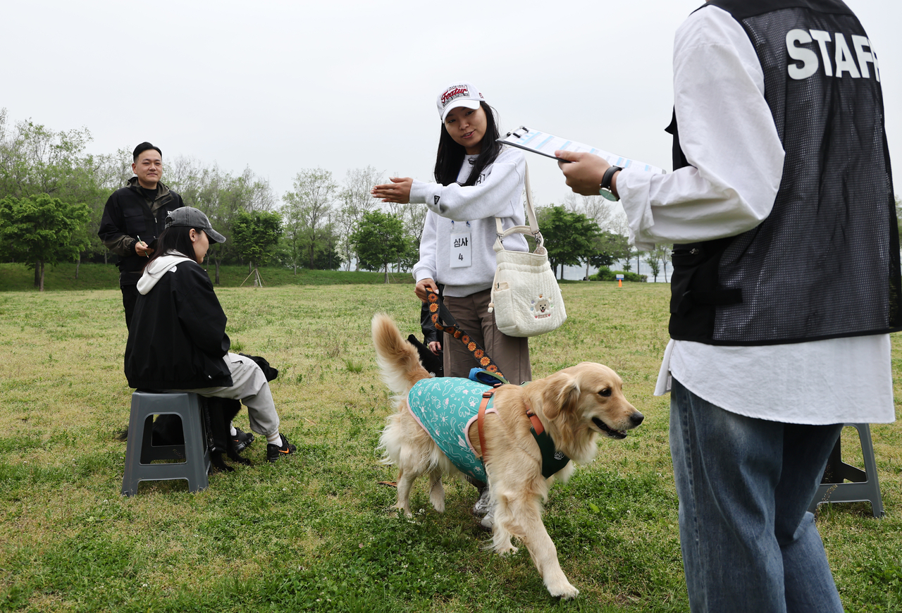 A participant dog undergoes an evaluation. (Yonhap)