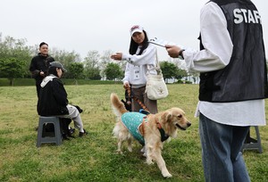 Doggy patrol teams undergo field test