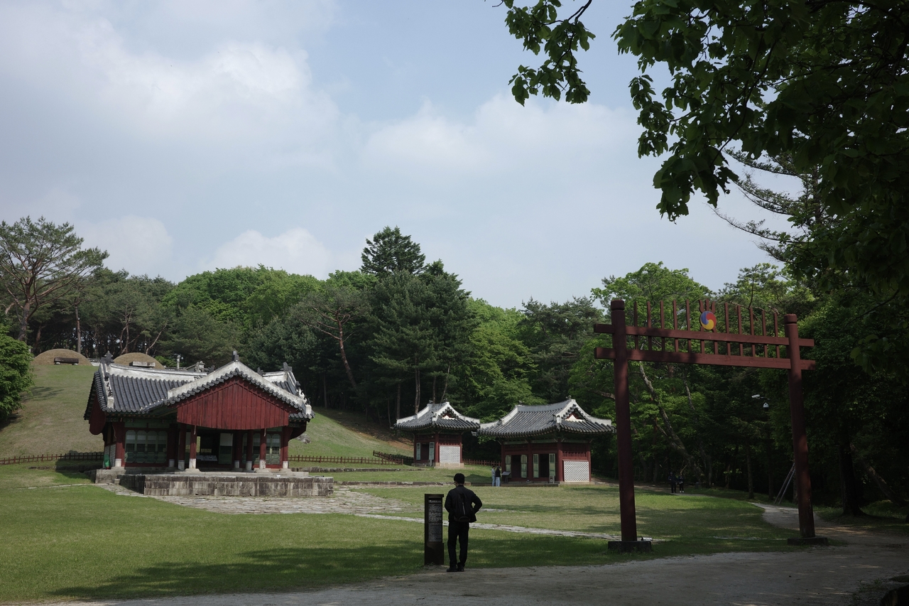 파주 삼릉 ‘영릉’. 이정아 기자.