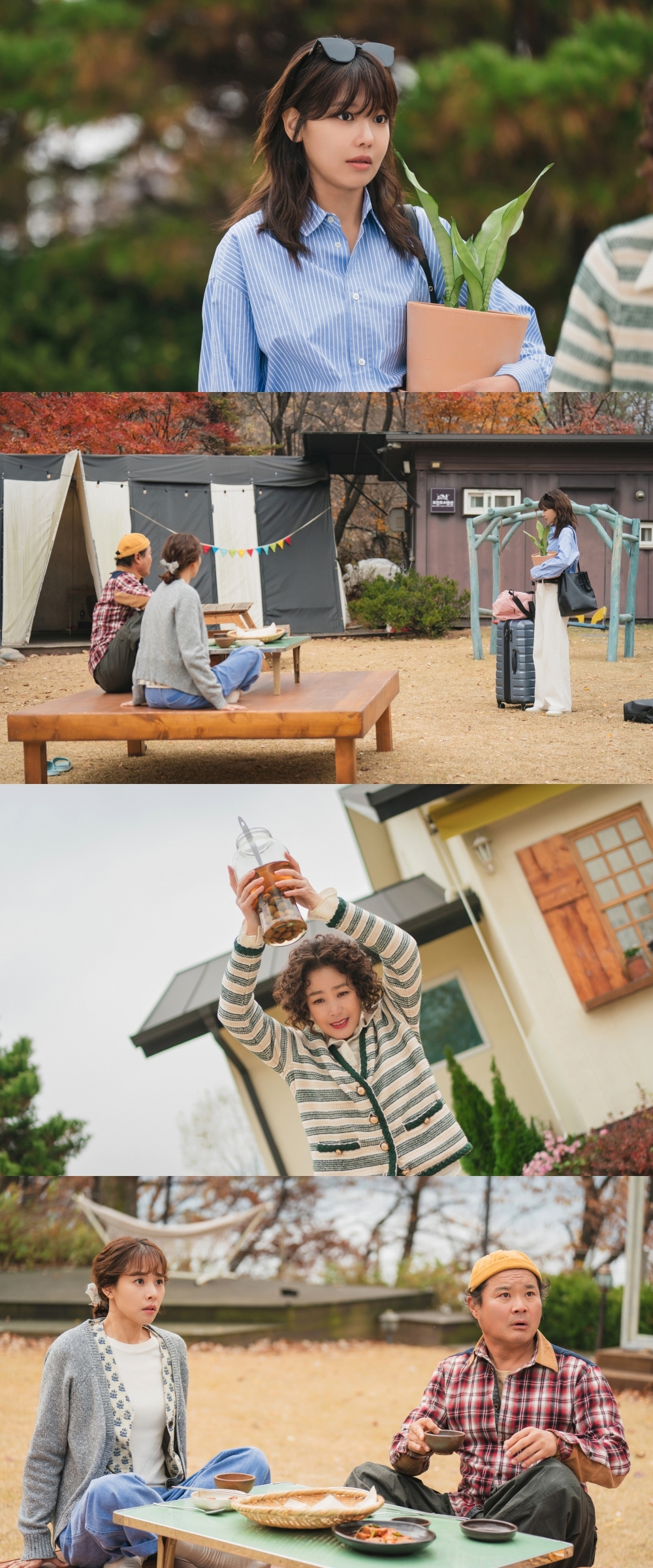 사진 제공=tvN <금주를 부탁해>