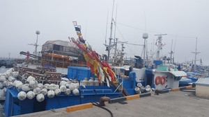 All 8 crew members rescued from capsizing fishing boat off coast of Jeju Island
