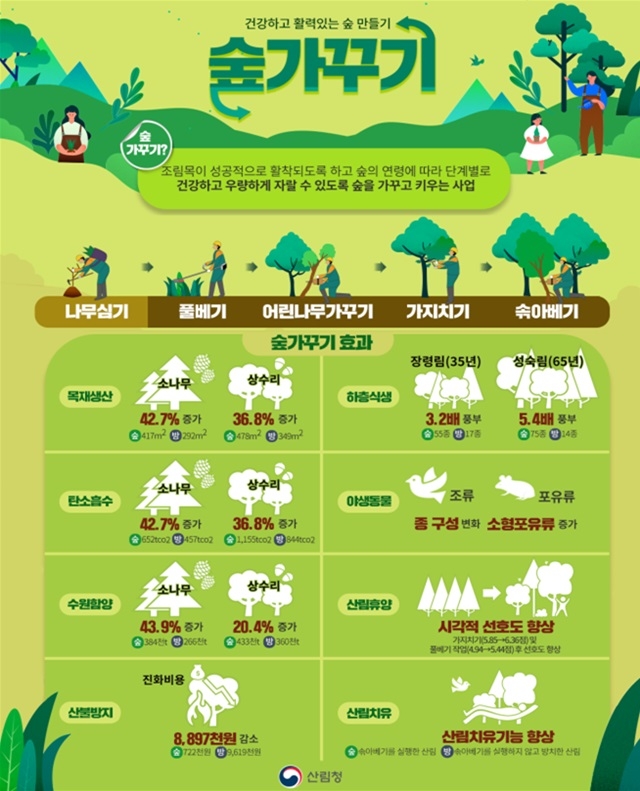 숲가꾸기_효과_포스터(제공=산림청).