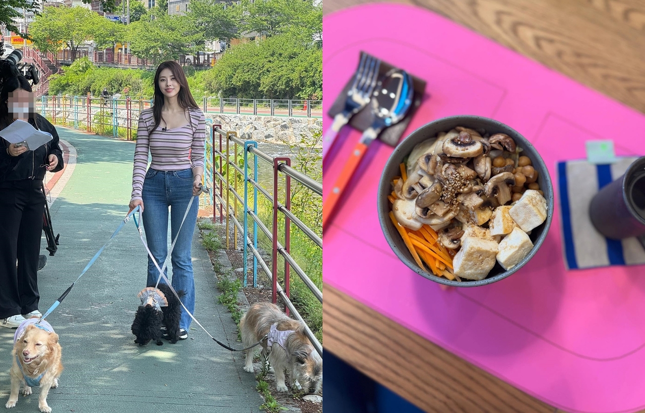 서동주 채널