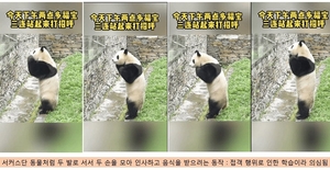 함영훈의 멋·맛·쉼