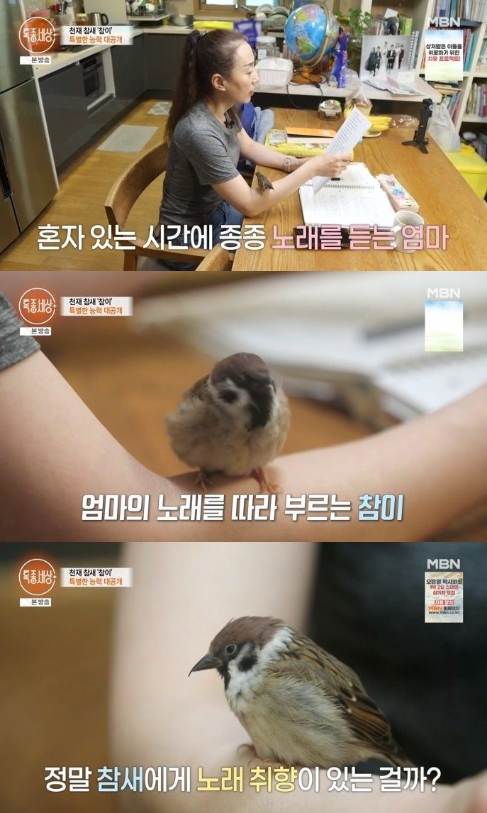 MBN ‘특종세상’ 방송캡쳐