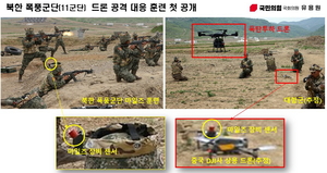 신대원의 軍플릭스