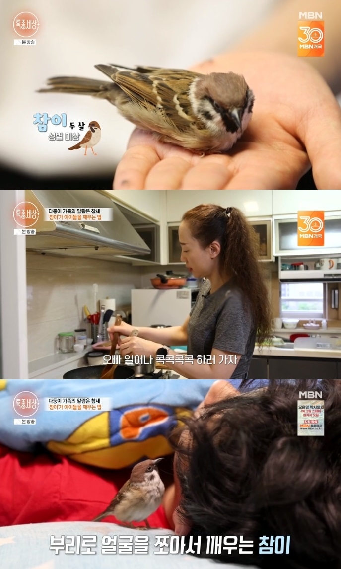 MBN ‘특종세상’ 방송캡쳐