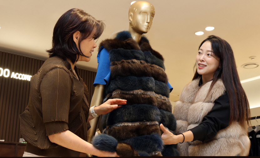 롯데백화점 대구점 3층 진도모피 매장에서 여성 고객이 국내 단 한점 보유중인 ‘세이블 롱베스트’ 상품을 살펴보고 있다.[롯데백화점 제공]